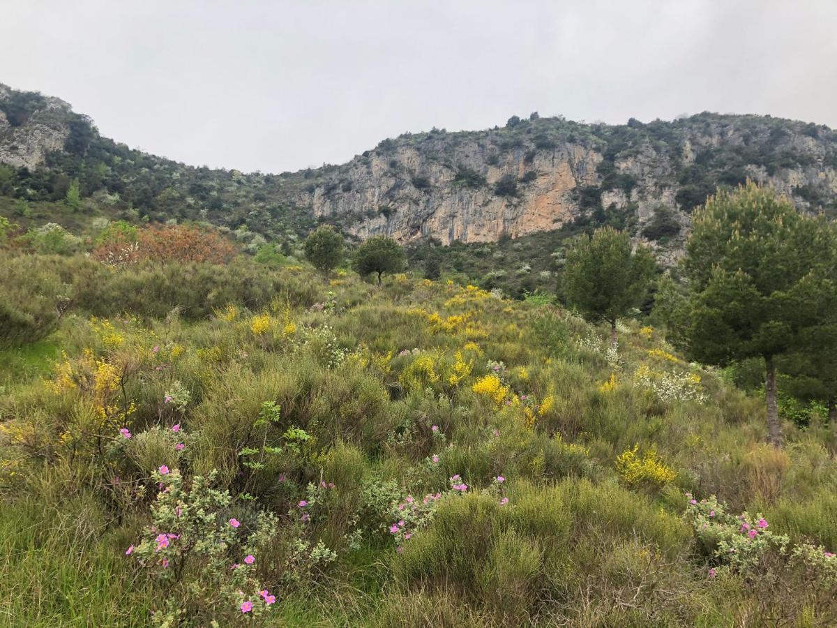 Aux Balcons du Riou avec vue mer 180 degrés Vence Exterior foto